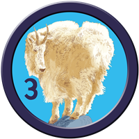 Badge 3 Badge