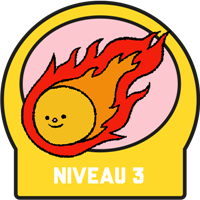 Niveau 3 Badge