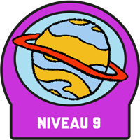 Niveau 9 Badge